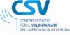 csv